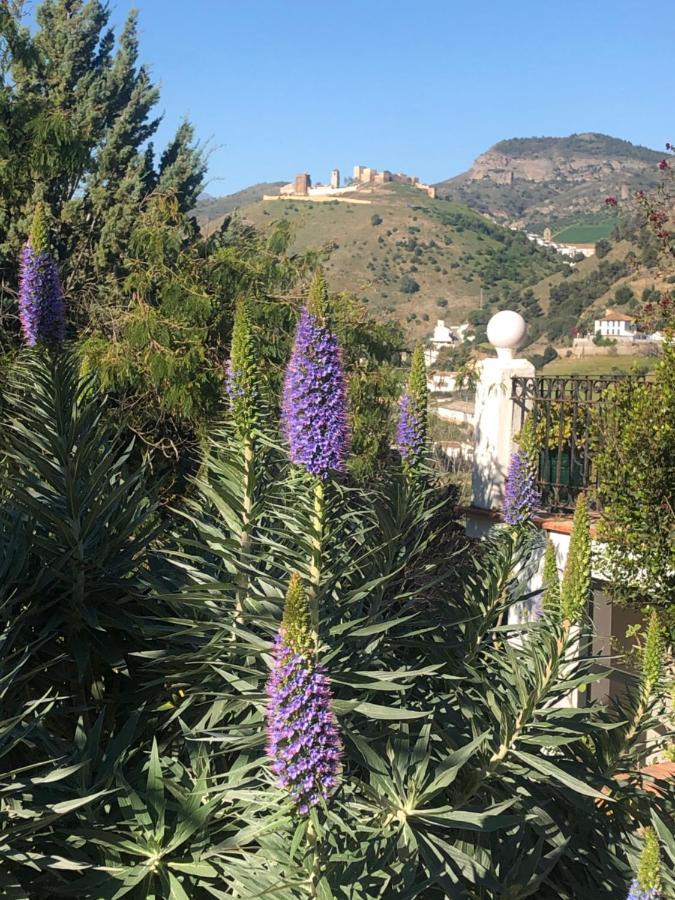La Barranca De La Barca Bed & Breakfast Алора Екстериор снимка