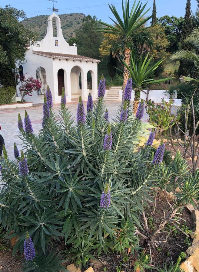 La Barranca De La Barca Bed & Breakfast Алора Екстериор снимка
