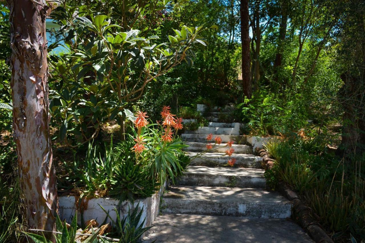 La Barranca De La Barca Bed & Breakfast Алора Екстериор снимка